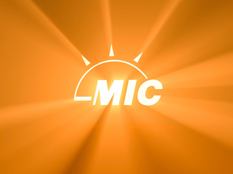 WHO IS MIC GLOBAL SERVICES？